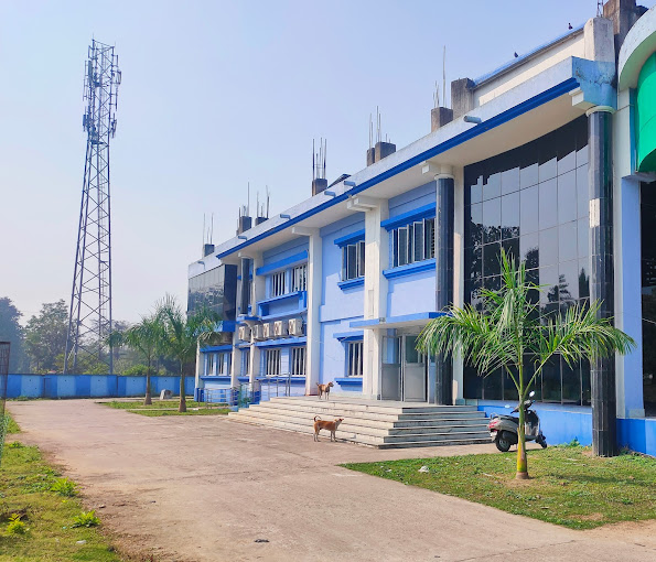 About Institute